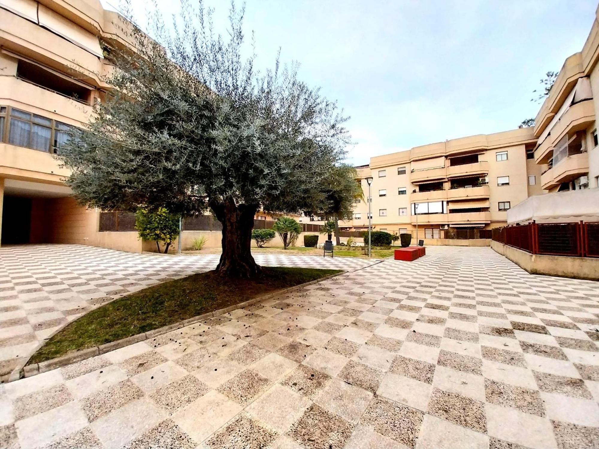 Top Suite Apartment Jerez Jardin Y Patio เฮเรซ เด ลาฟรอนเตรา ภายนอก รูปภาพ