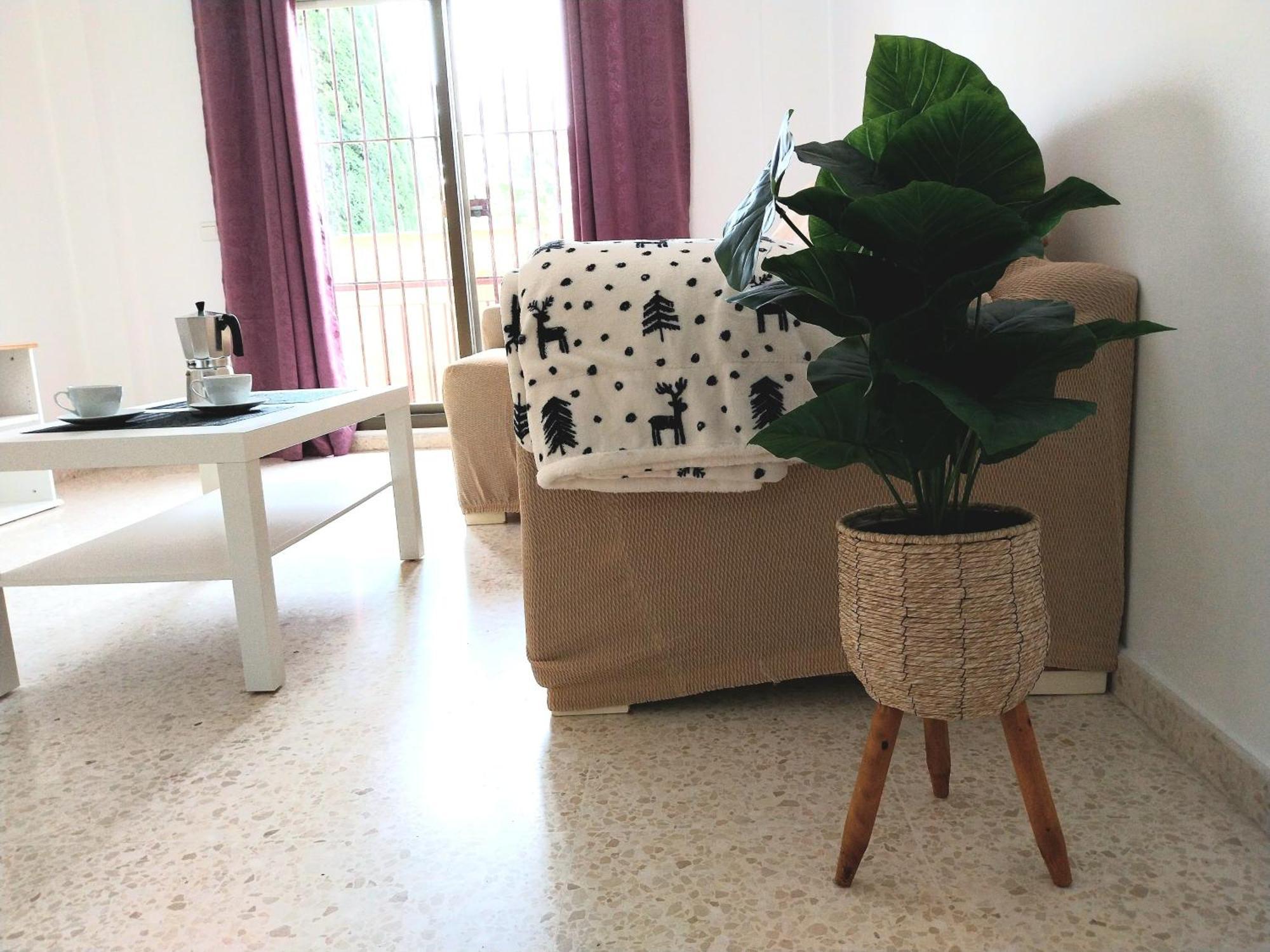 Top Suite Apartment Jerez Jardin Y Patio เฮเรซ เด ลาฟรอนเตรา ภายนอก รูปภาพ